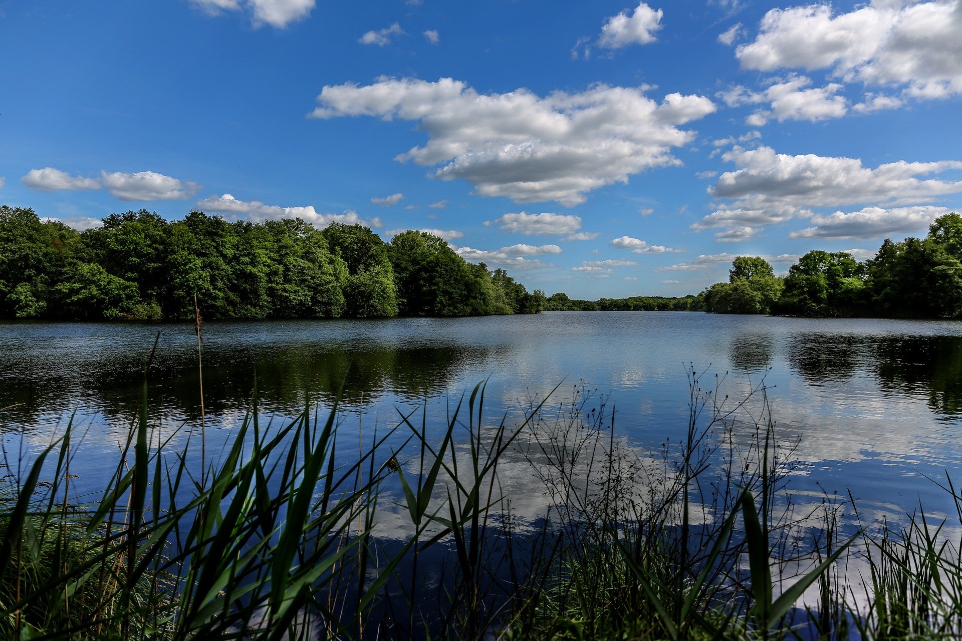 Antrag der CDU-Fraktion auf Sicherung unserer Feuchtgebiete und Seen